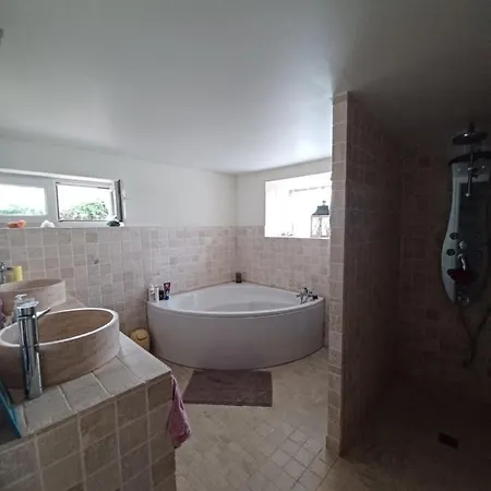 Maison Avec Piscine Et Spa Gonflable, 2 Chats Presents * Saint-Étienne-de-Montluc