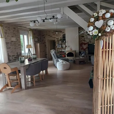 Maison Avec Piscine Et Spa Gonflable, 2 Chats Presents